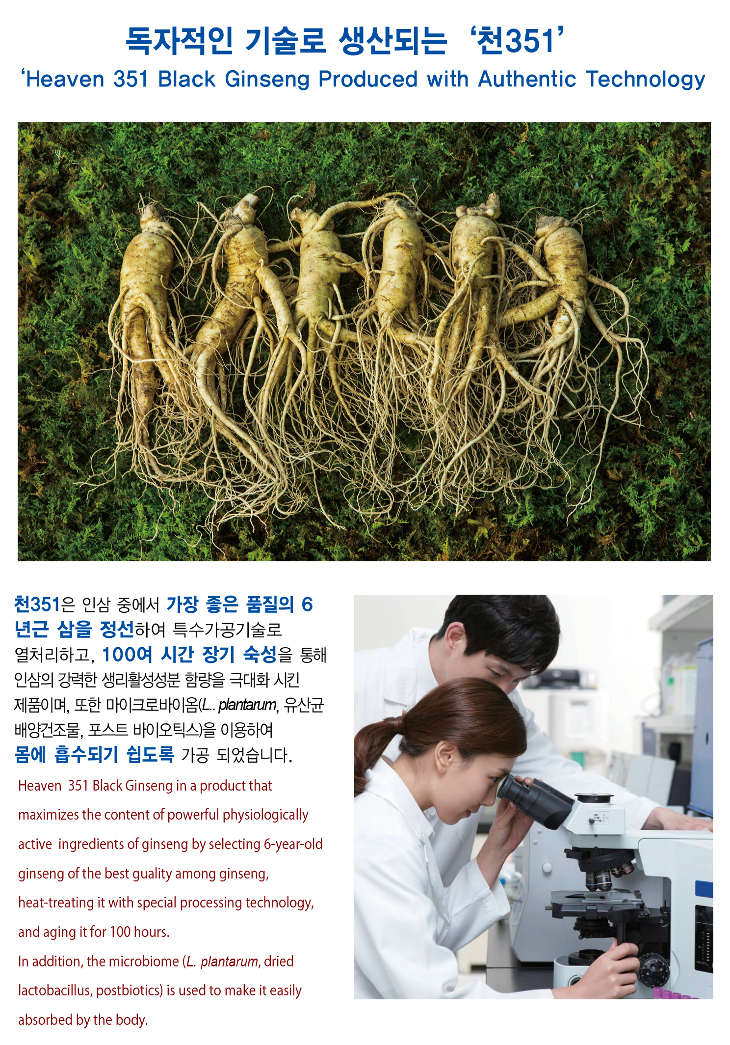 Heaven Grade 351 Black Ginseng Rootlet Roots 15 Pieces Premium Korean 6 Years Old Health Supplements Foods Gifts